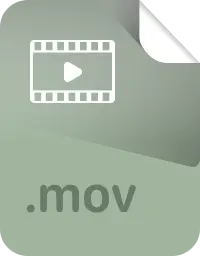 mov.webp